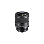 24mm f/1.4 dg dn