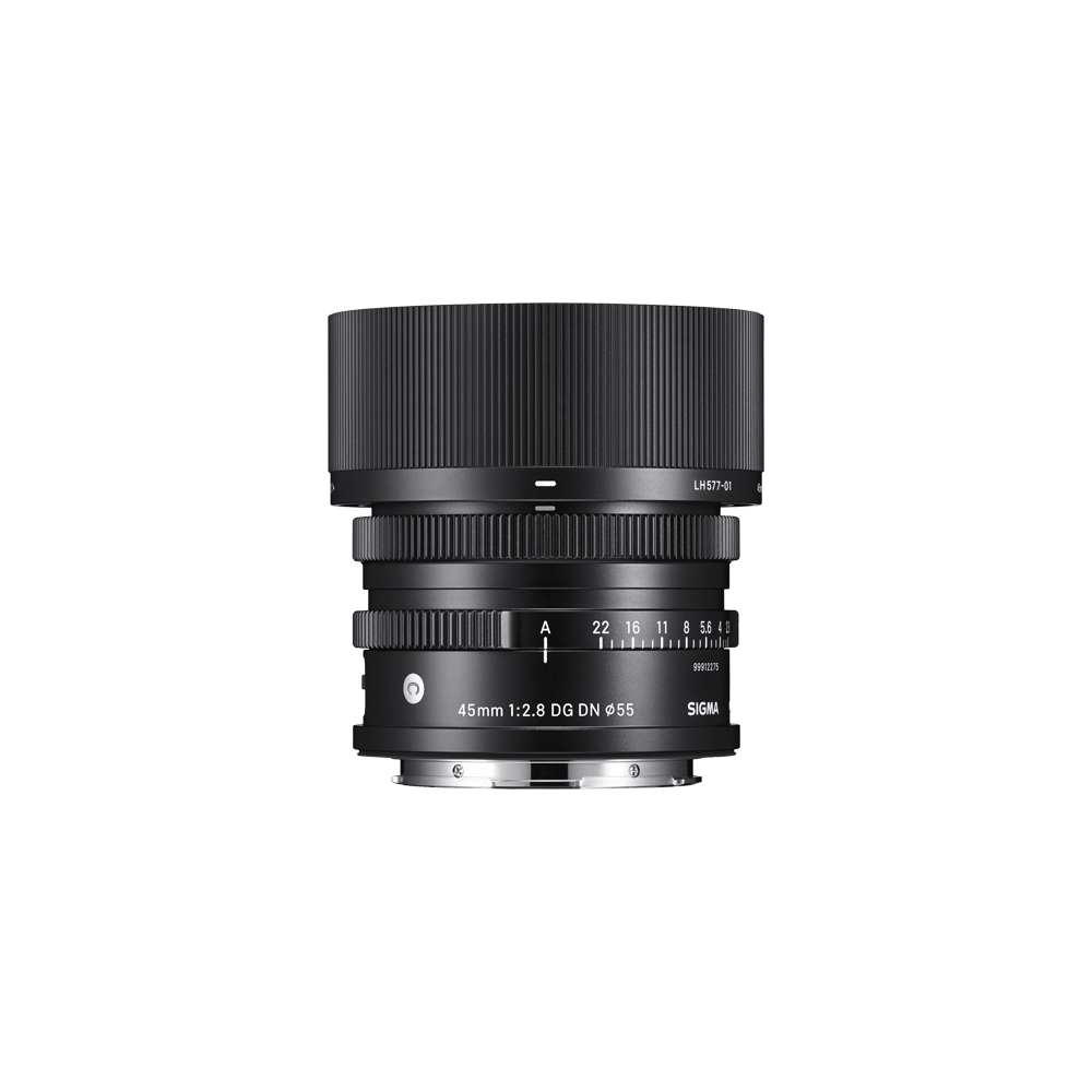 sigma 45mm f/2.8 dg