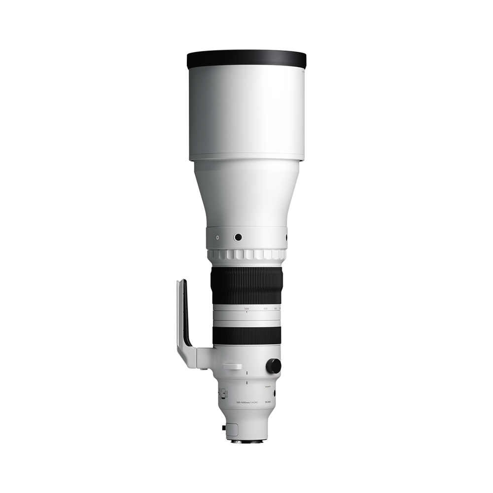 300 600mm f/4 dg os